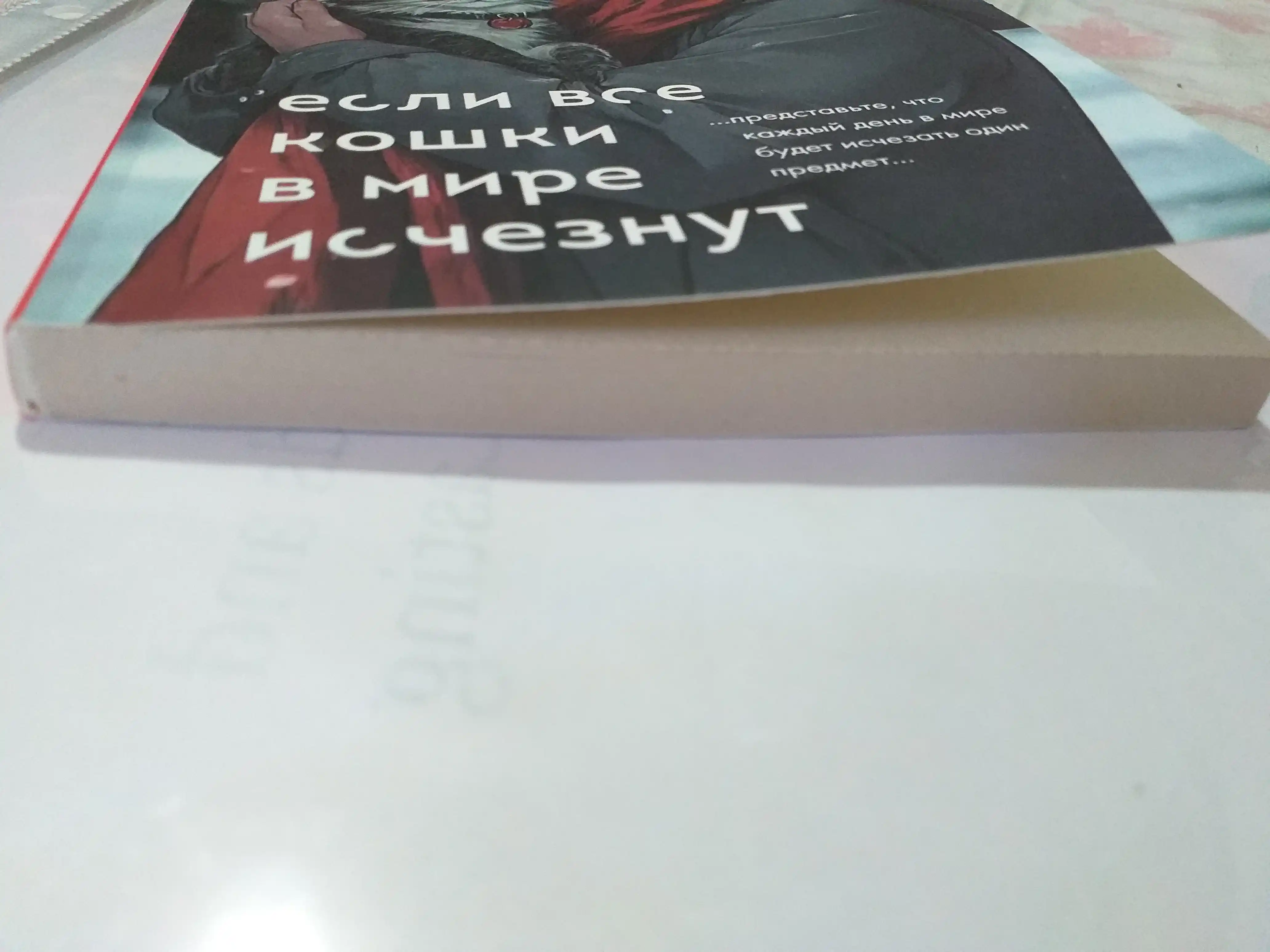 Если все кошки в мире исчезнут, Гэнки Кавамура