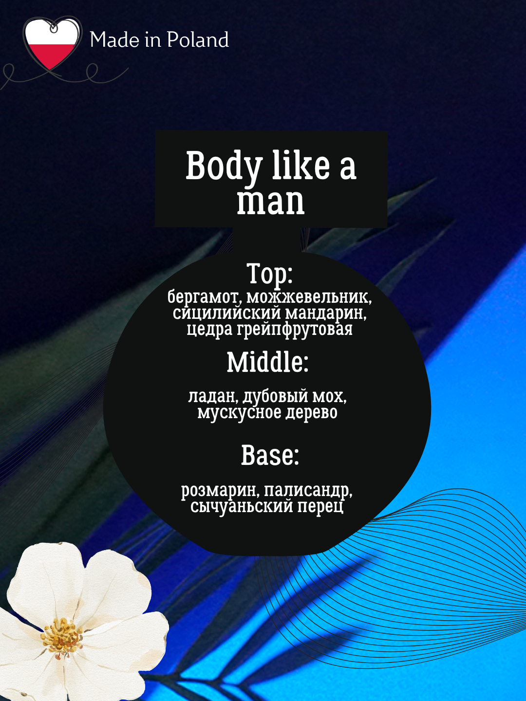 Erkaklar parfume suvi Body like a man, 90 ml, La Rive