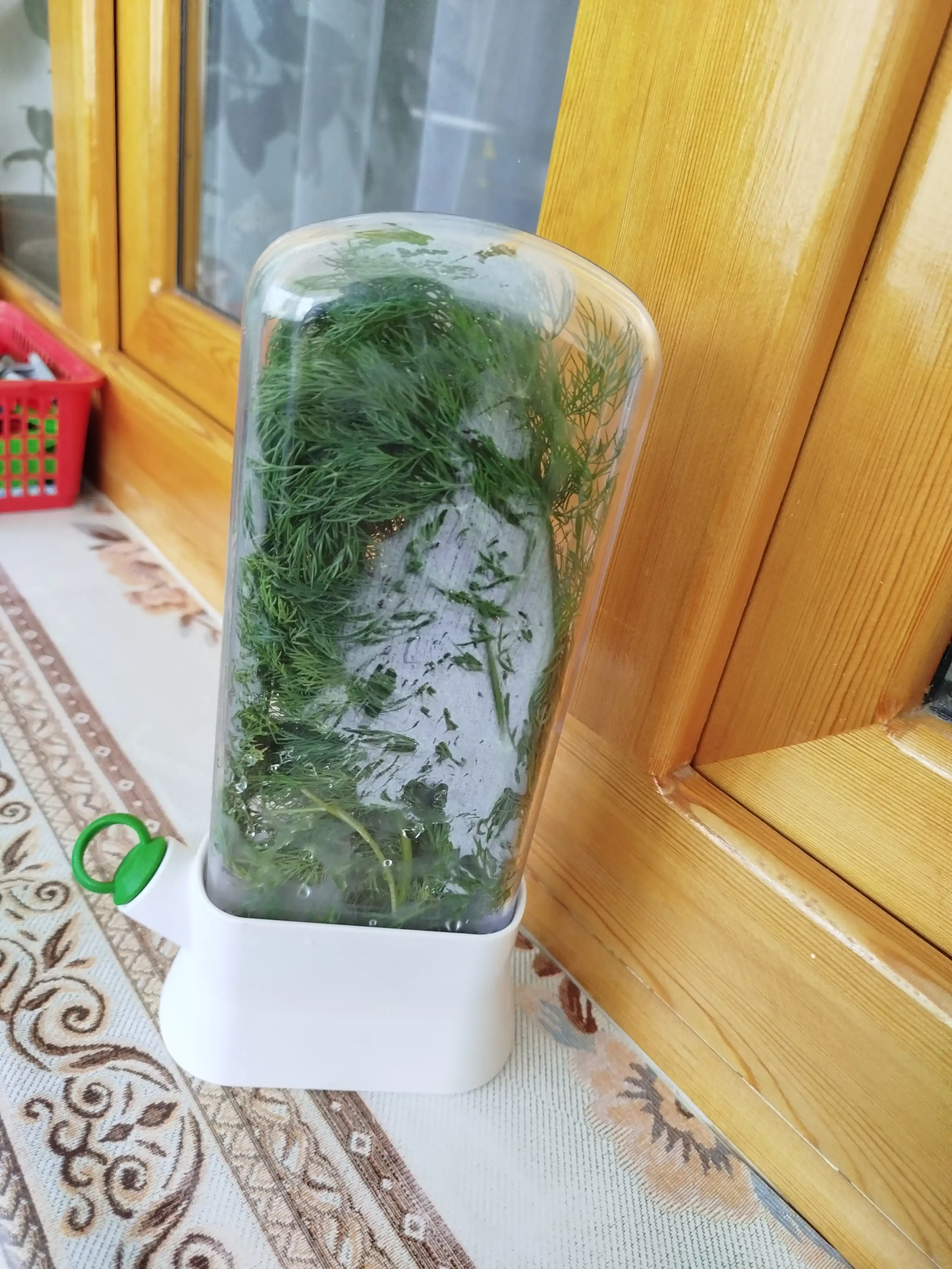 Yangi ko’katlarni sovutgichda saqlash uchun konteyner,sovutgichga organayzer 500 va 1000ml