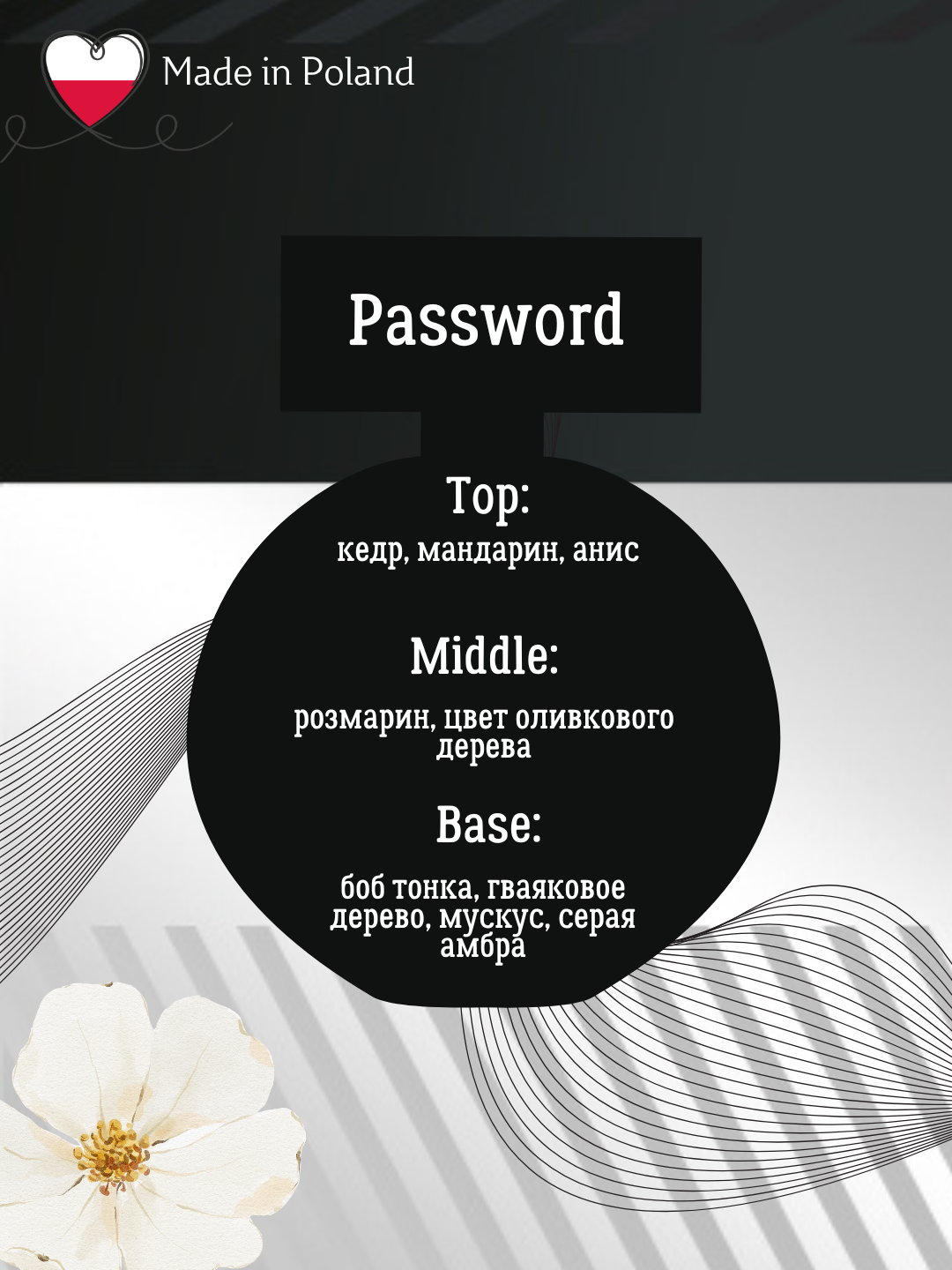 Erkaklar xushbo'ylangan suvi Password, 75 ml, La Rive