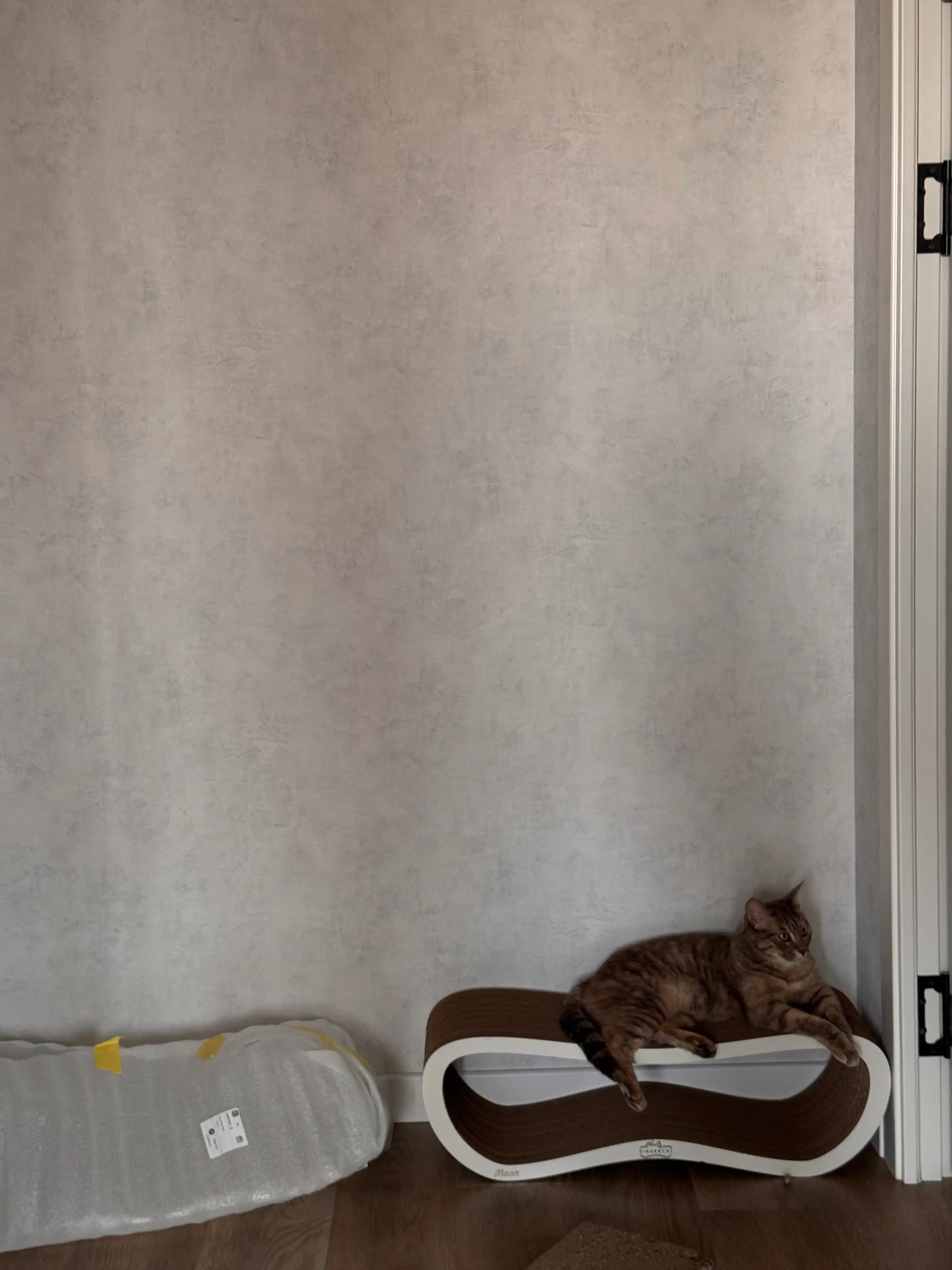 Tirnash ustuni, KinderCat Moon, mushuklar uchun
