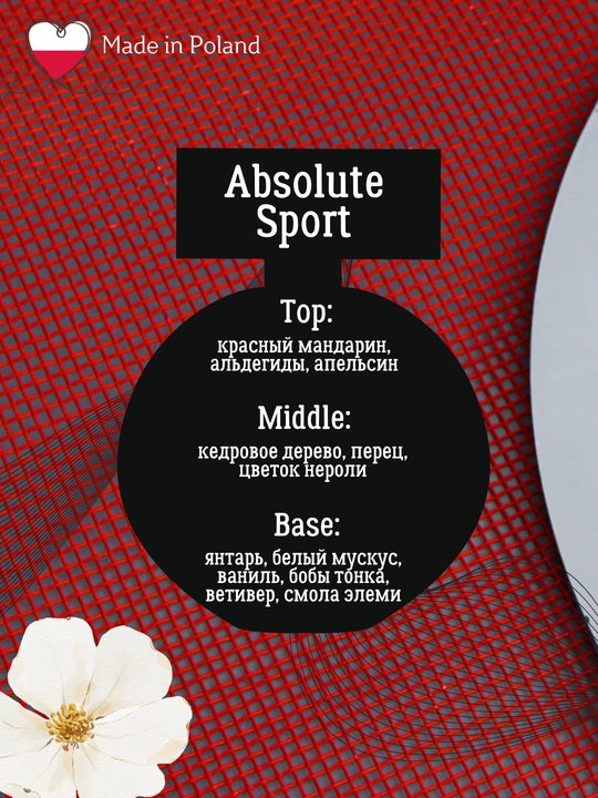 Erkaklar parfume suvi ABSOLUTE SPORT, 100ml, La Rive