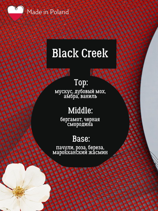 Erkaklar xushbo'ylangan suvi La Rive Black Creek, 100 ml