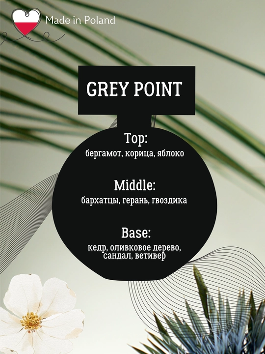 Erkaklar parfume suvi GREY POINT, 90 ml, La Rive