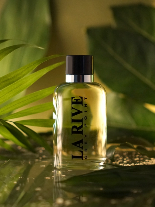 Erkaklar parfume suvi GREY POINT, 90 ml, La Rive