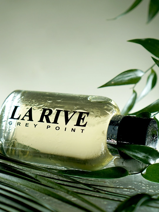 Erkaklar parfume suvi GREY POINT, 90 ml, La Rive