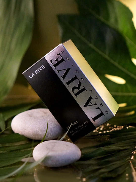 Erkaklar parfume suvi GREY POINT, 90 ml, La Rive