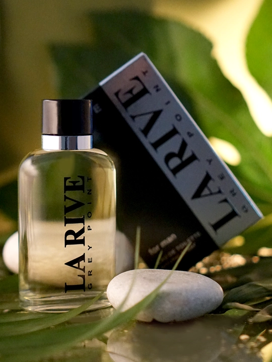 Erkaklar parfume suvi GREY POINT, 90 ml, La Rive