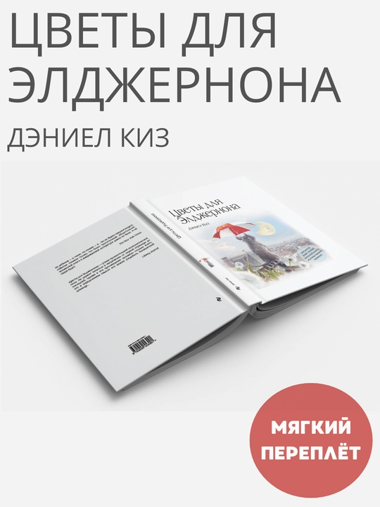 Kitobi "Sveti dlya Eldjernona, Deniyel Kiz" - 