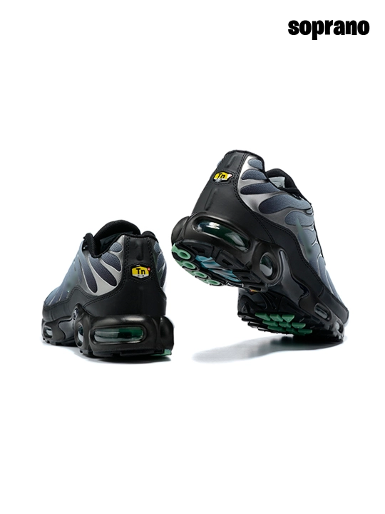 Erkaklar, ayollar va o'smirlar uchun Nike Air Max Plus TN krossovkalari, sport, 40-48