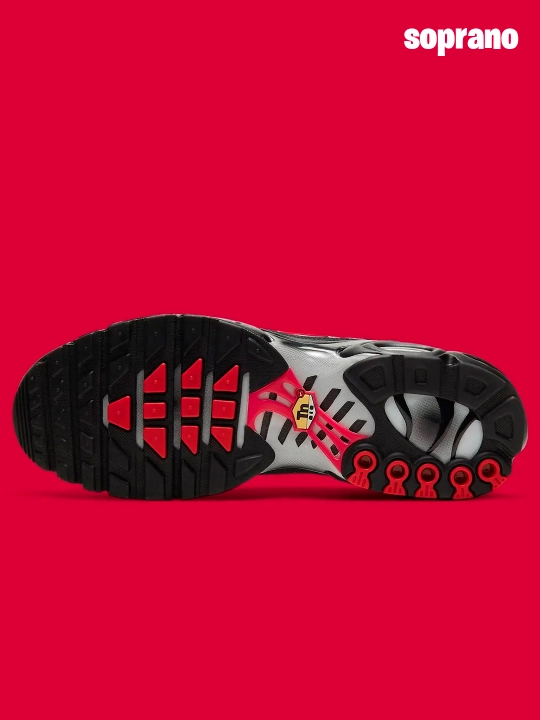 Erkaklar, ayollar va o'smirlar uchun Nike Air Max Plus TN krossovkalari, sport, 40-48