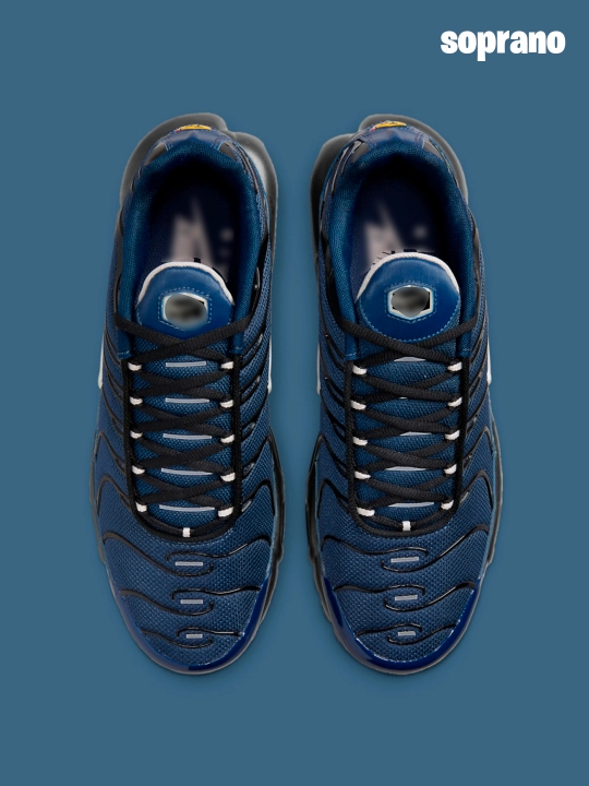 Erkaklar, ayollar va o'smirlar uchun Nike Air Max Plus TN krossovkalari, sport, 40-48