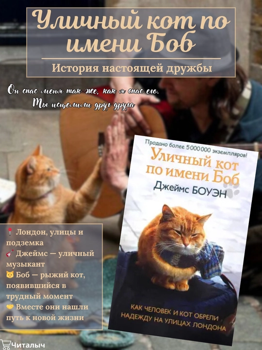 Уличный кот по имени Боб. Джеймс Боуэн - 