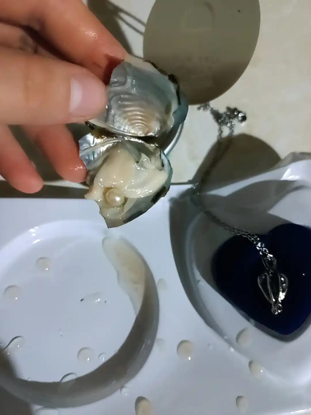 Ayollar uchun sovg'a to'plami "Arzular marvaridi", marjonlarni marjon, qobiq