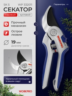Бордовый