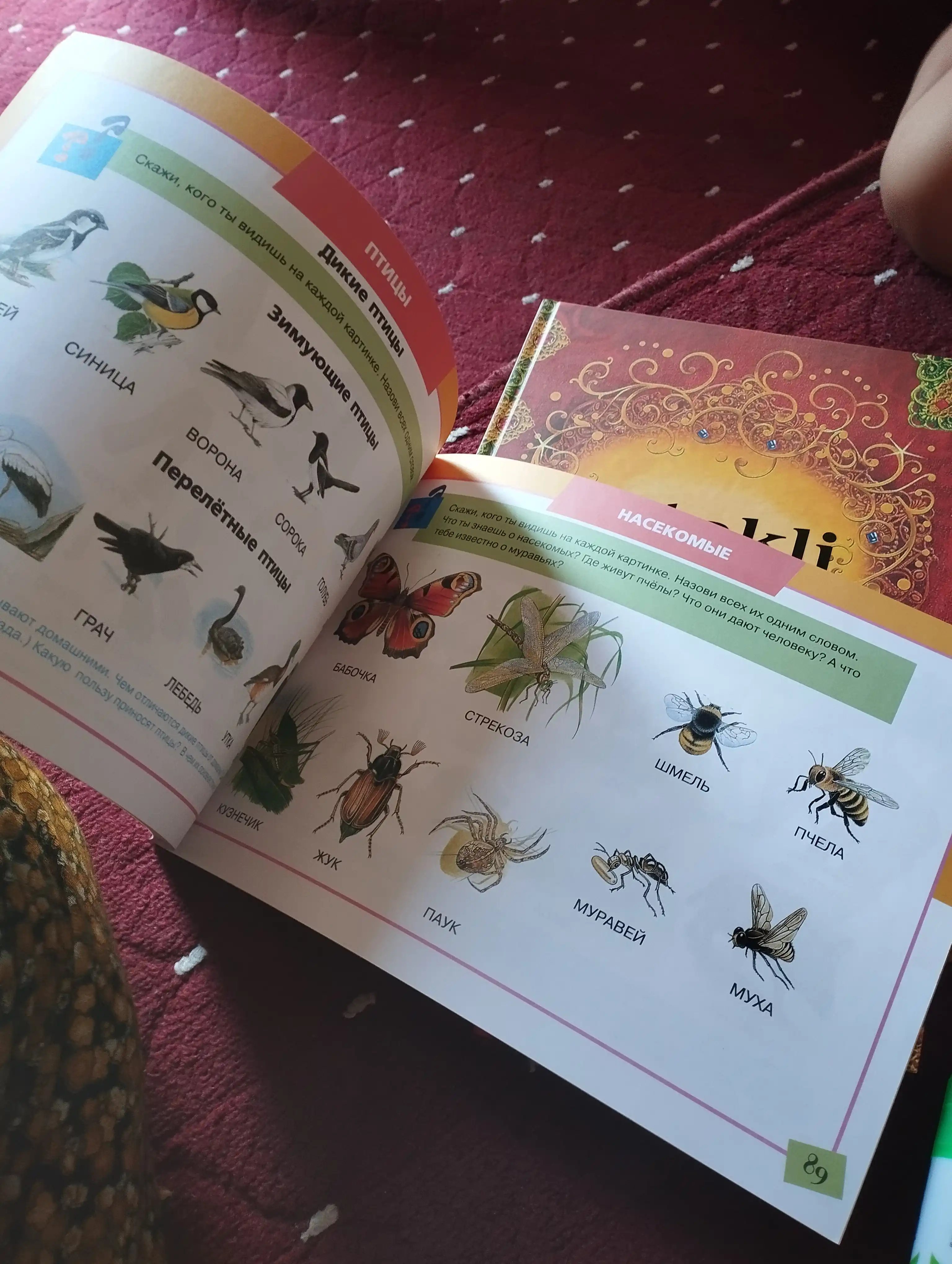 Kitob "Al'bom po razvitiyu rechi"