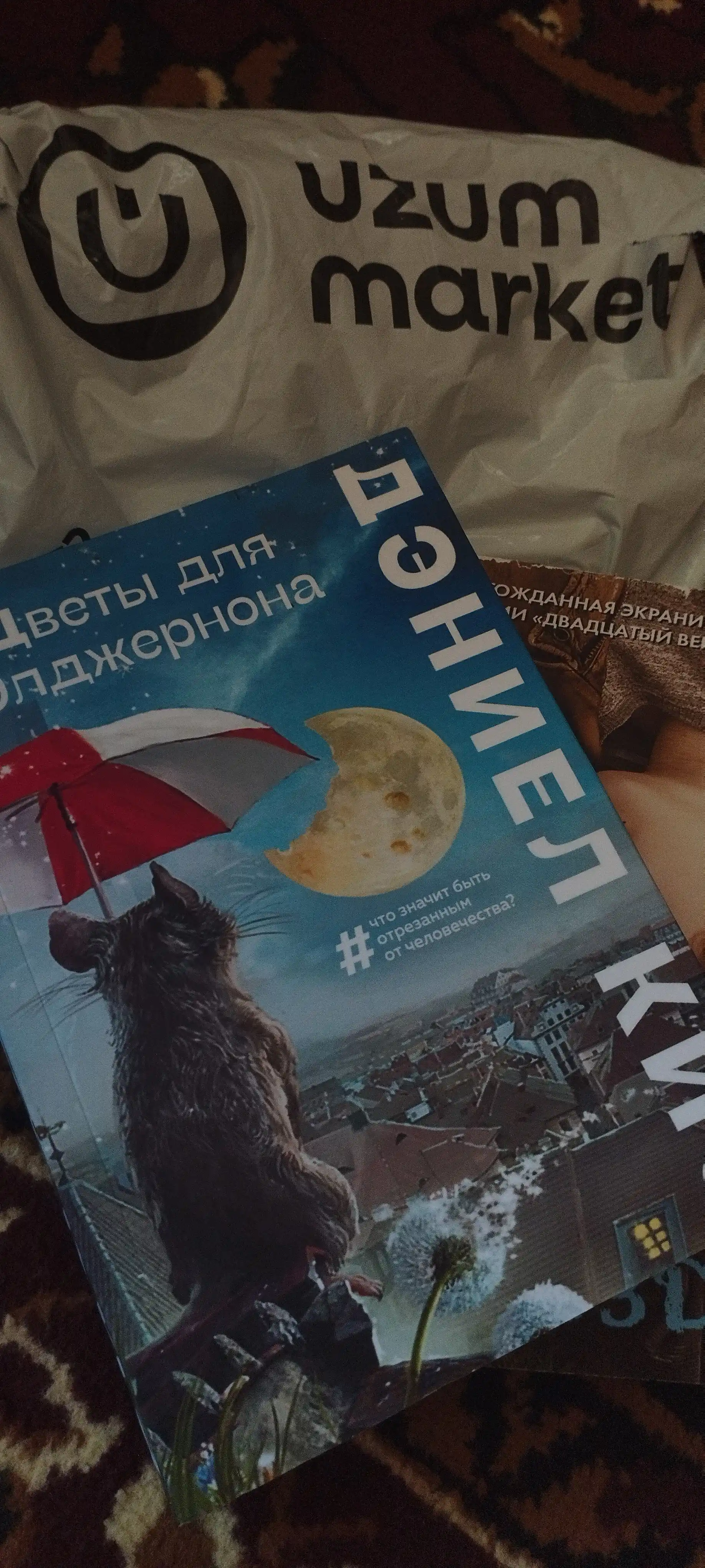 Цветы для Элджернона, Дэниел Киз