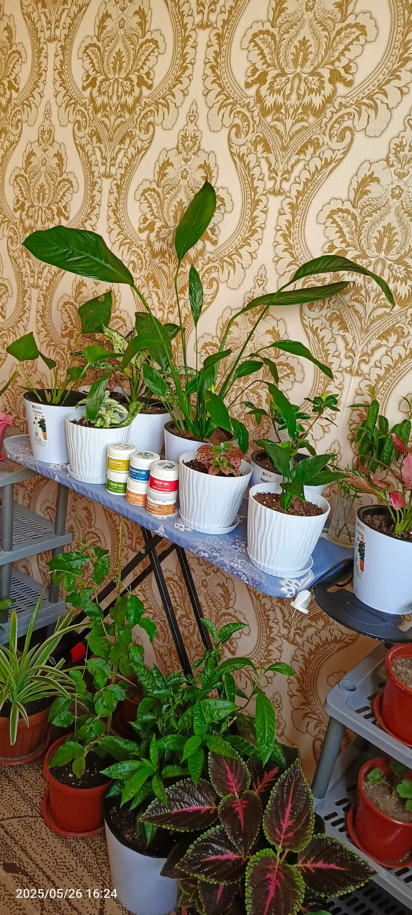 Удобрение для растений Artifex Agrochem Radifex, 100 г
