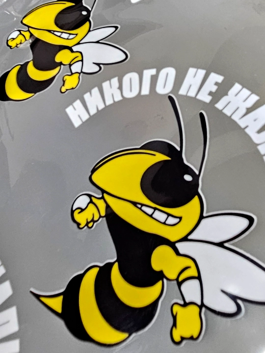 DTF наклейка на одежду НИКОГО НЕ ЖАЛЬ, 15 * 15