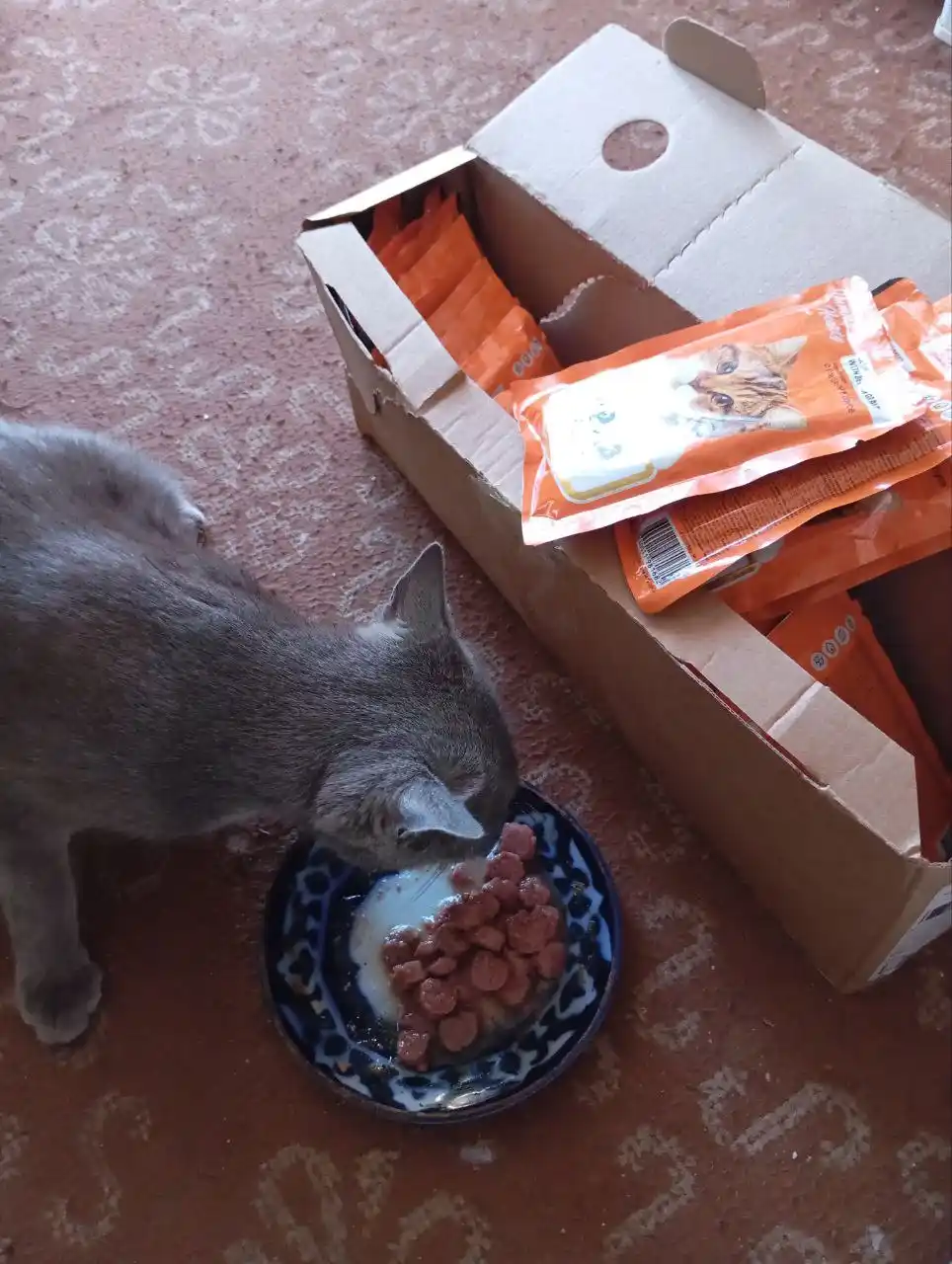 Lapka mushuklar uchun nam yem, sousdagi mol go'shti bilan, 85 gr 28 dona