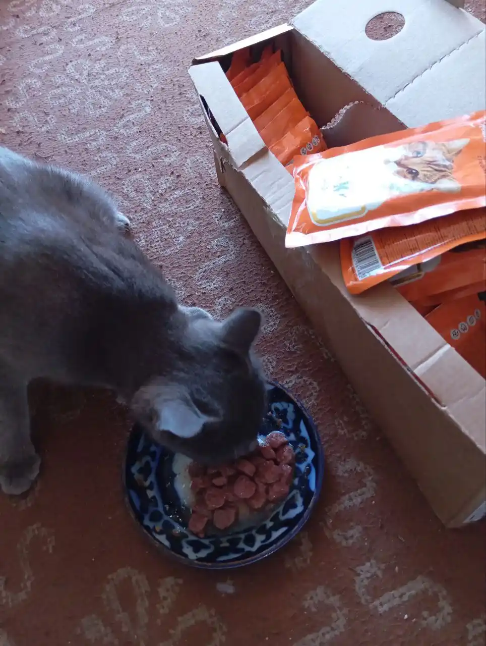 Lapka mushuklar uchun nam yem, sousdagi mol go'shti bilan, 85 gr 28 dona