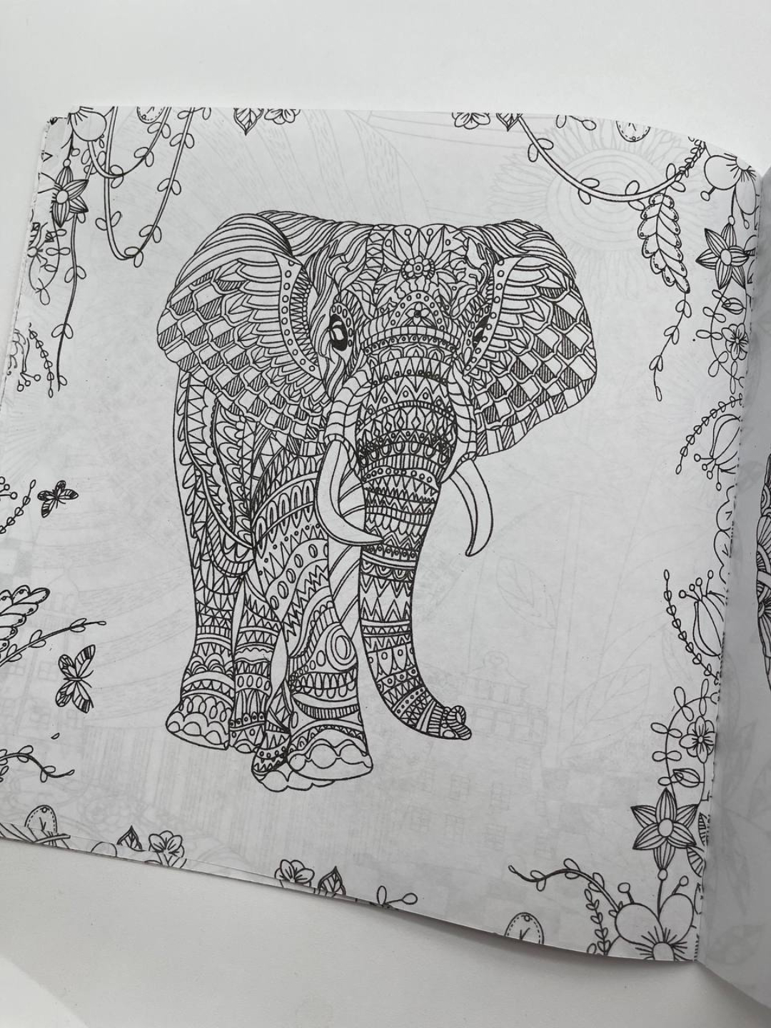 Antistress raskraska, yumshoq muqova, 12 varaq, 24 rasm, Motarro firma ...