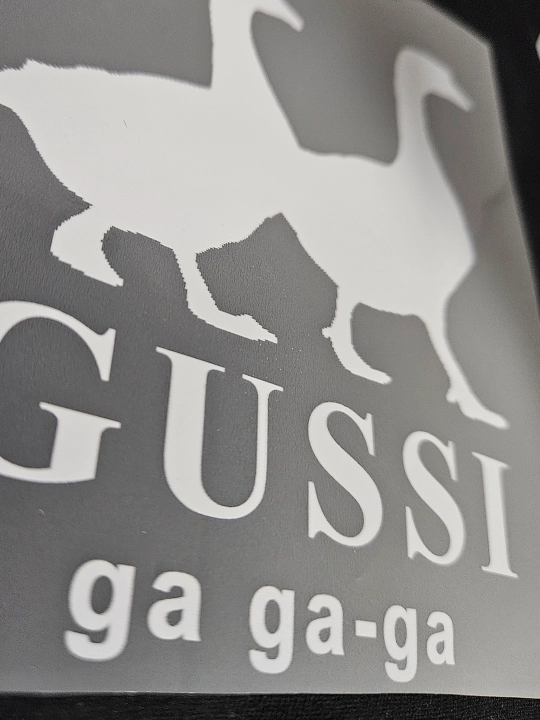 DTF GUSSI kiyim stikeri, 15 * 15 - 