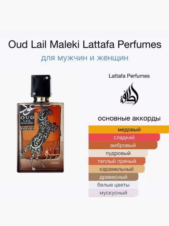 Парфюмированная вода Oud Lail Maleki 100 мл - 