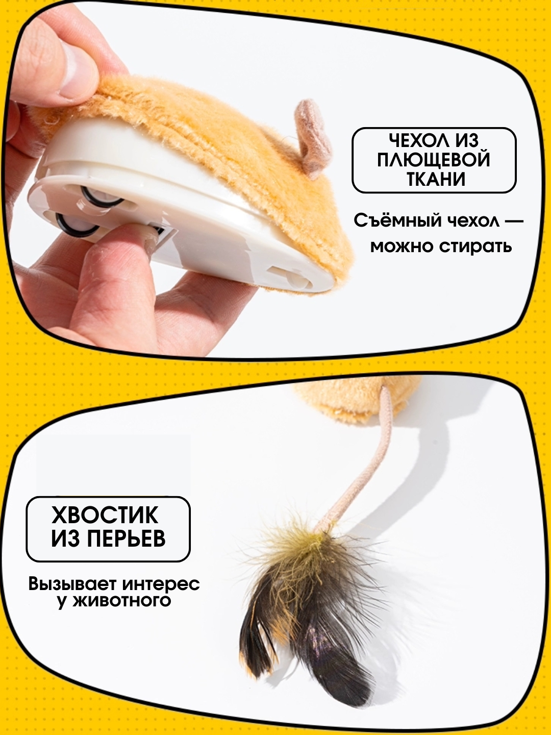 Mashhurlarning tepasiz fotosuratlari