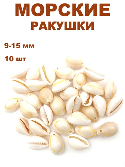 Бусины-ракушки, для творчества и рукоделия — BIJOUS-РАКУШ-МОЛОЧ-РАКУШ10