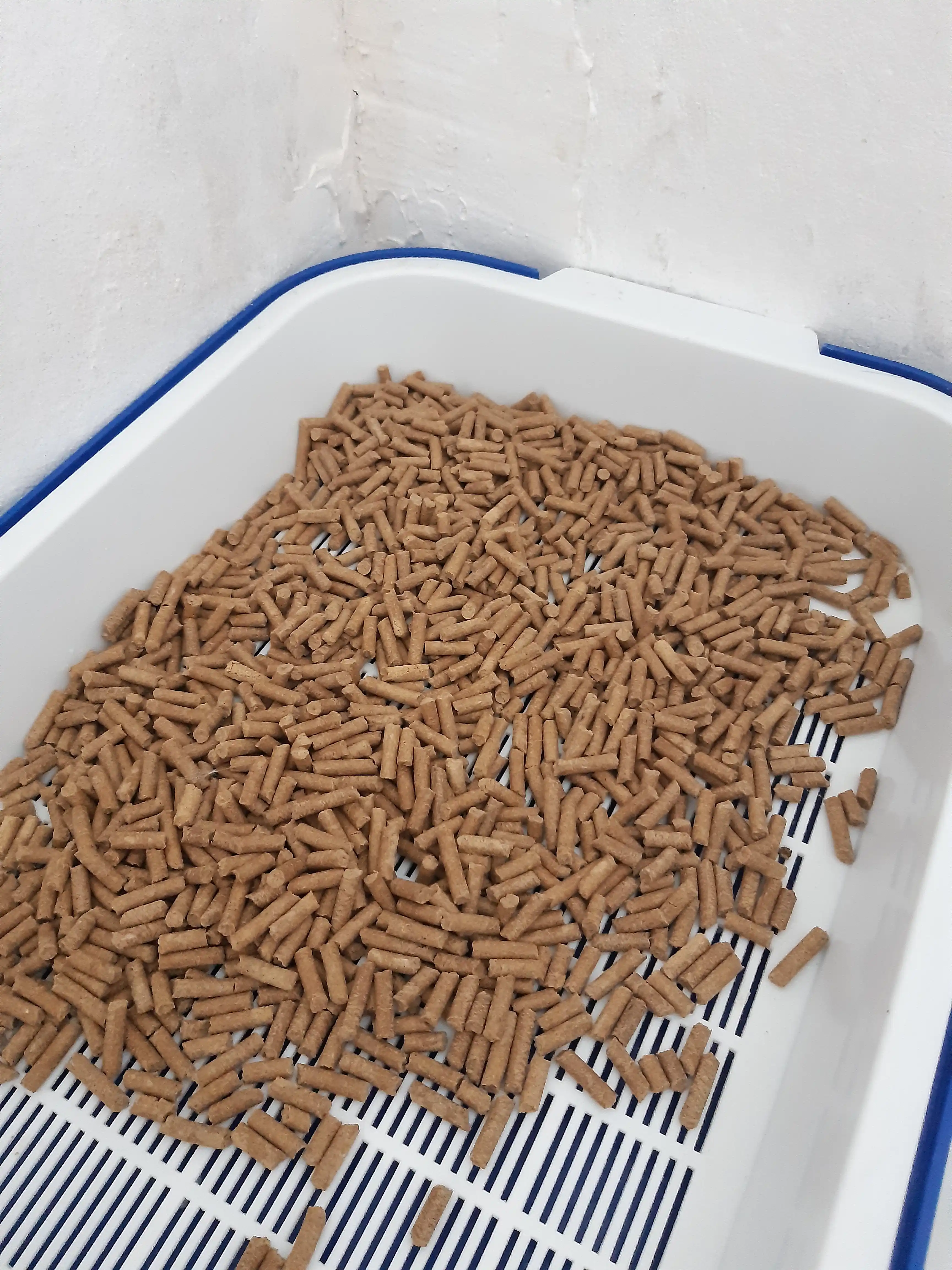 Наполнитель для туалета домашних питомцев BioPetto, 3 л