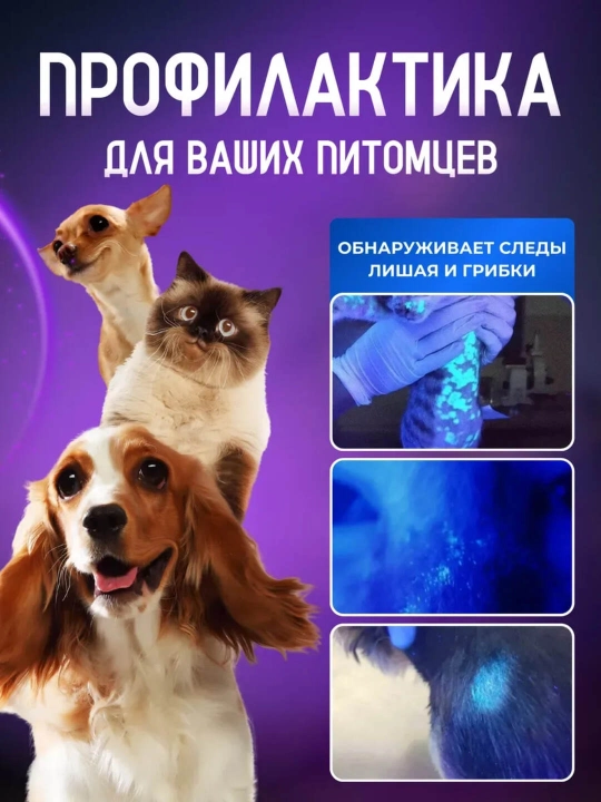 Ultrabinafsha fonar pul tekshirish, manikyur va gigiyena uchun