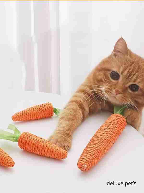 Qizlar suratga olinayotganini bilmagan holda onanizm bilan shugullanishadi. Jinsiy aloqa paytida vaginadan oq suyuqlik