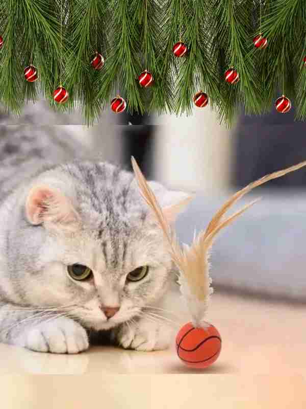 Gozal qozoq ayol porno surat