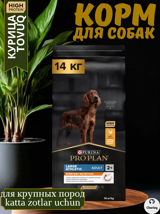 Itlar, yirik va atletik zotlar uchun quruq ozuqa, ProPlan, tovuq bilan - 