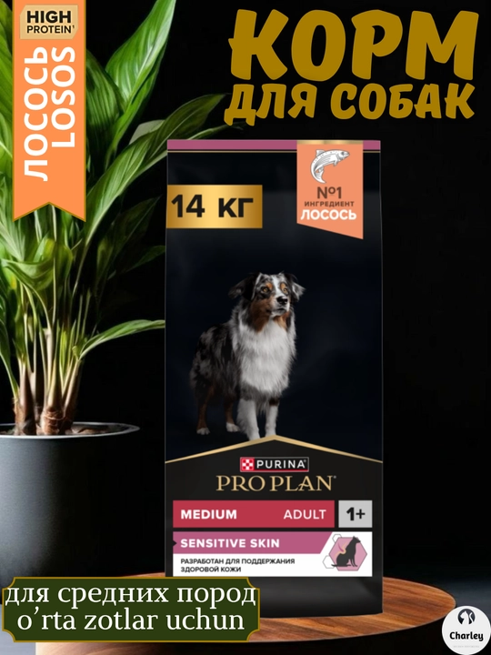 Itlar uchun quruq ozuqa, o‘rta zotlar, ProPlan, losos bilan, teri va jun salomatligi uchun - 