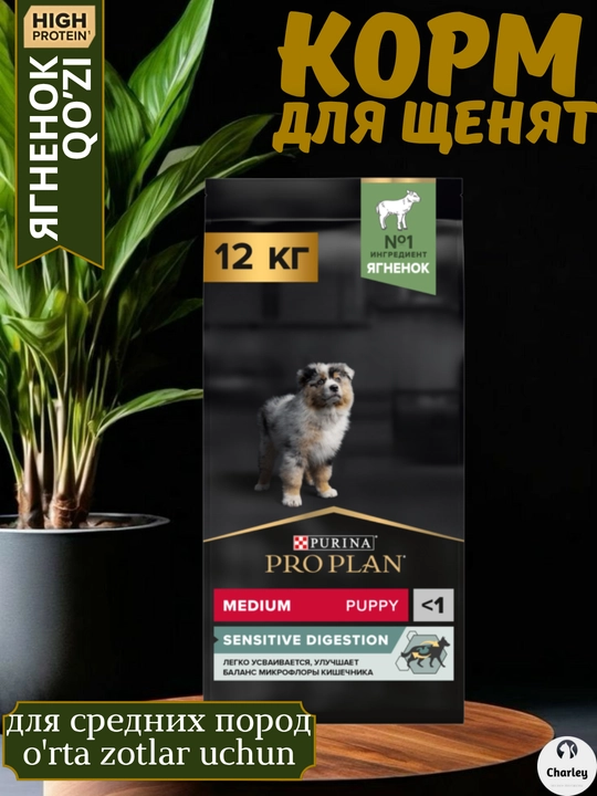 Purina Pro Plan o‘rta zotli kuchukchalar uchun quruq ozuqa, ichak muvozanati uchun, qo‘zichoq bilan - 
