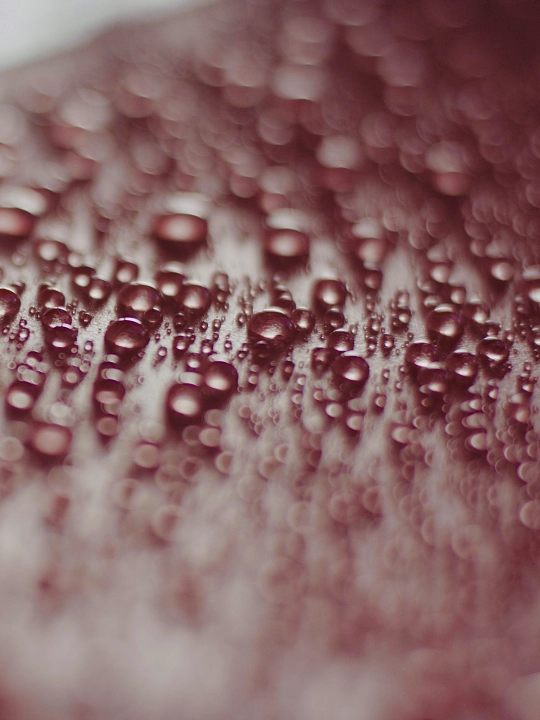 Frumos Dallas stuli 300 kg gacha, namlikka chidamli, yig'iluvchi - kuchaytirilgan plastik