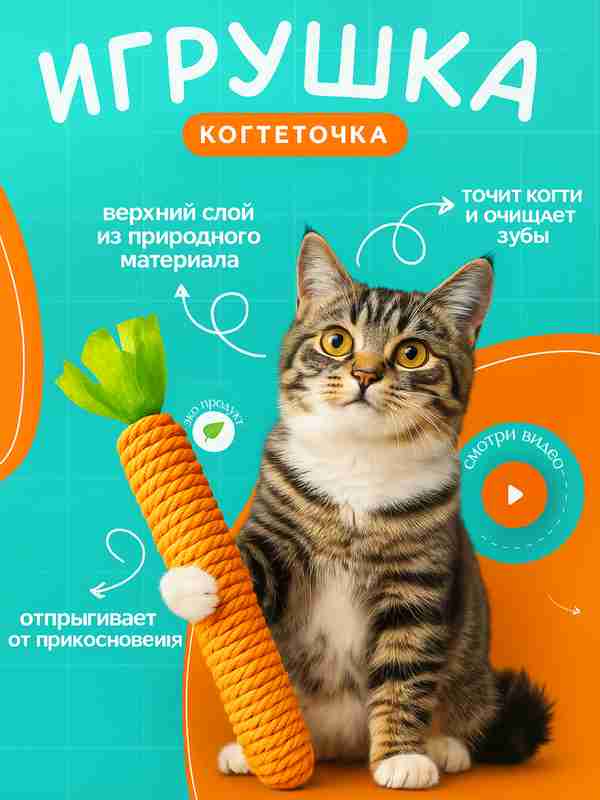 Internetda begonalar ishtirokida jinsiy aloqa