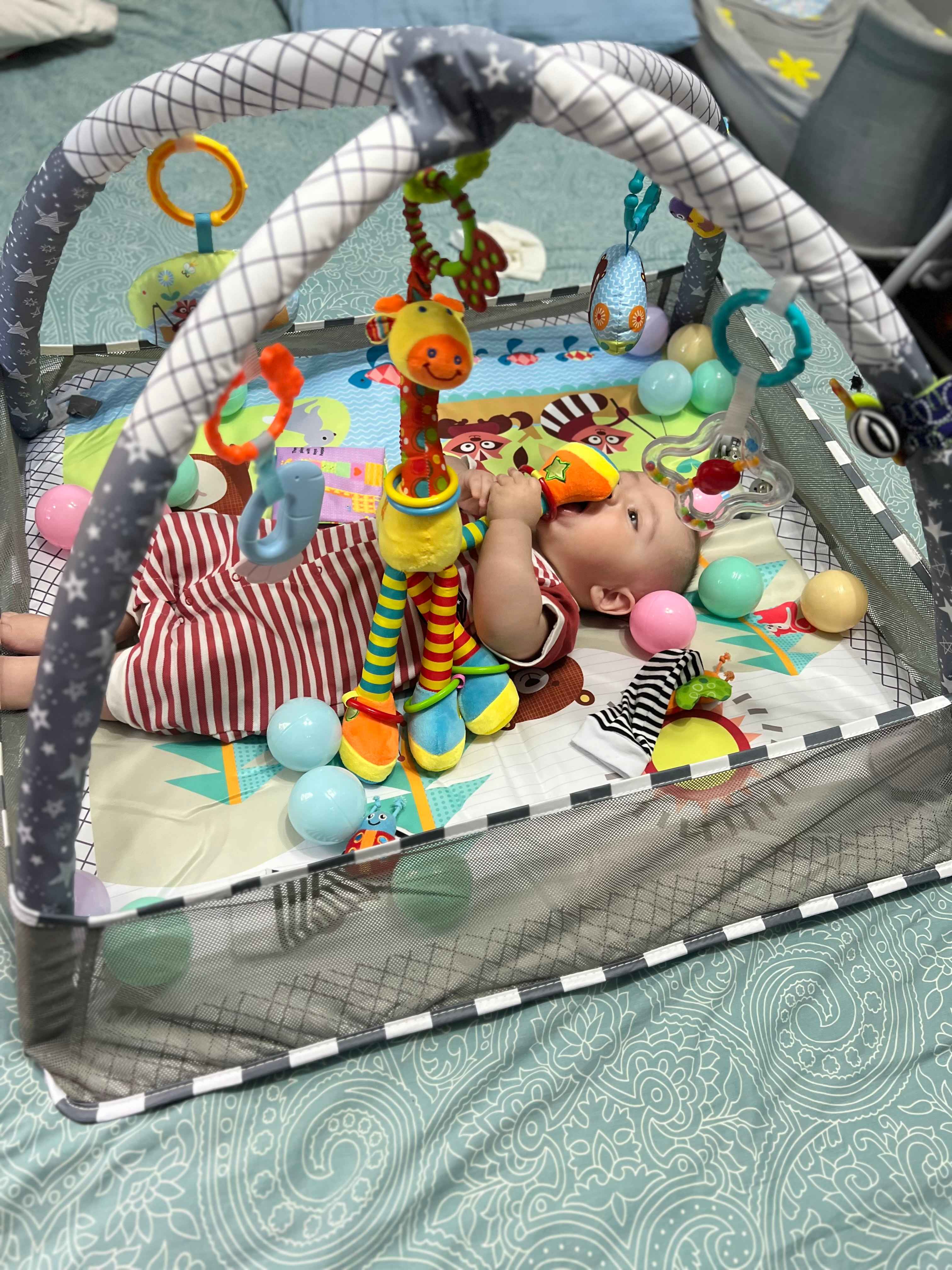 Sohil porno sorish Porno Anna Semenovich külot holda