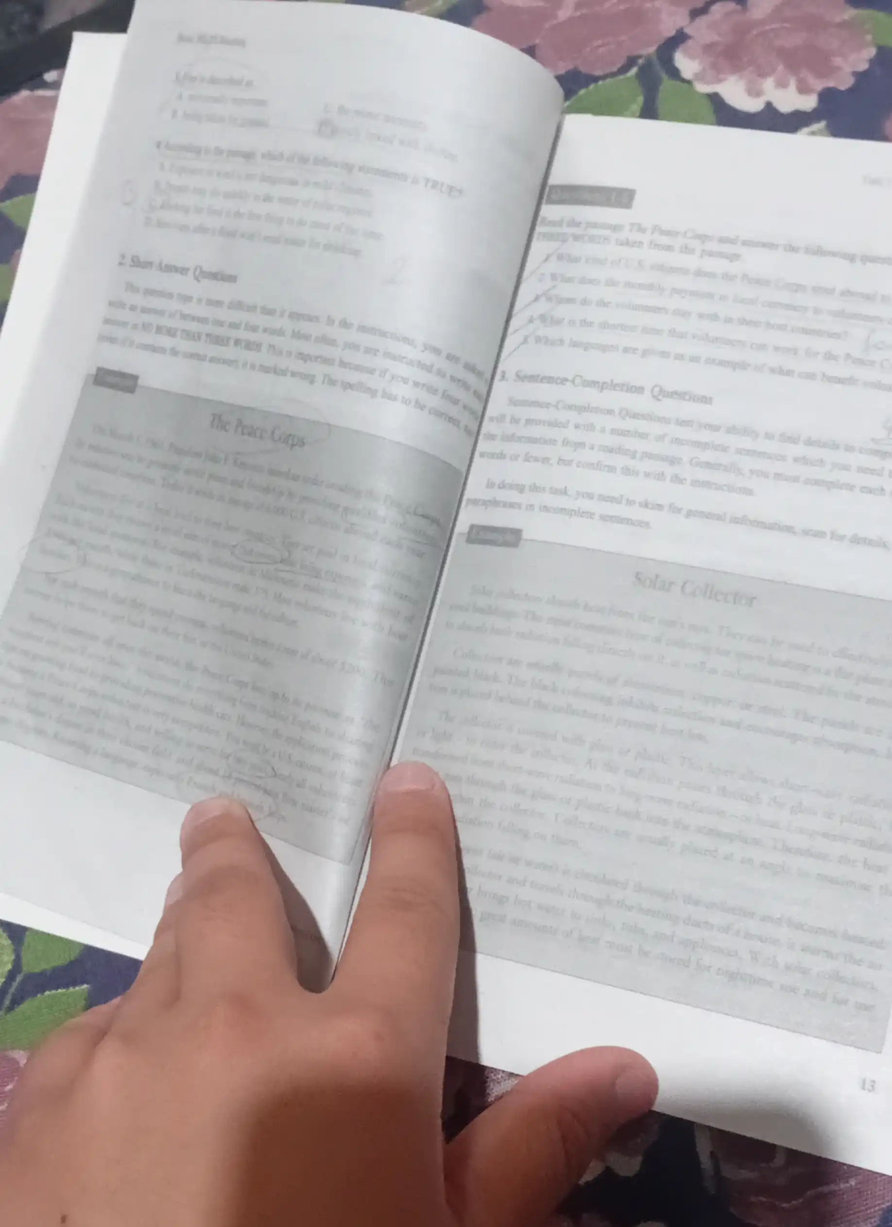 Бейсик IELTS — Лисенинг, Спикинг, Райтинг ёки Ридинг ўқув қўлланмалари