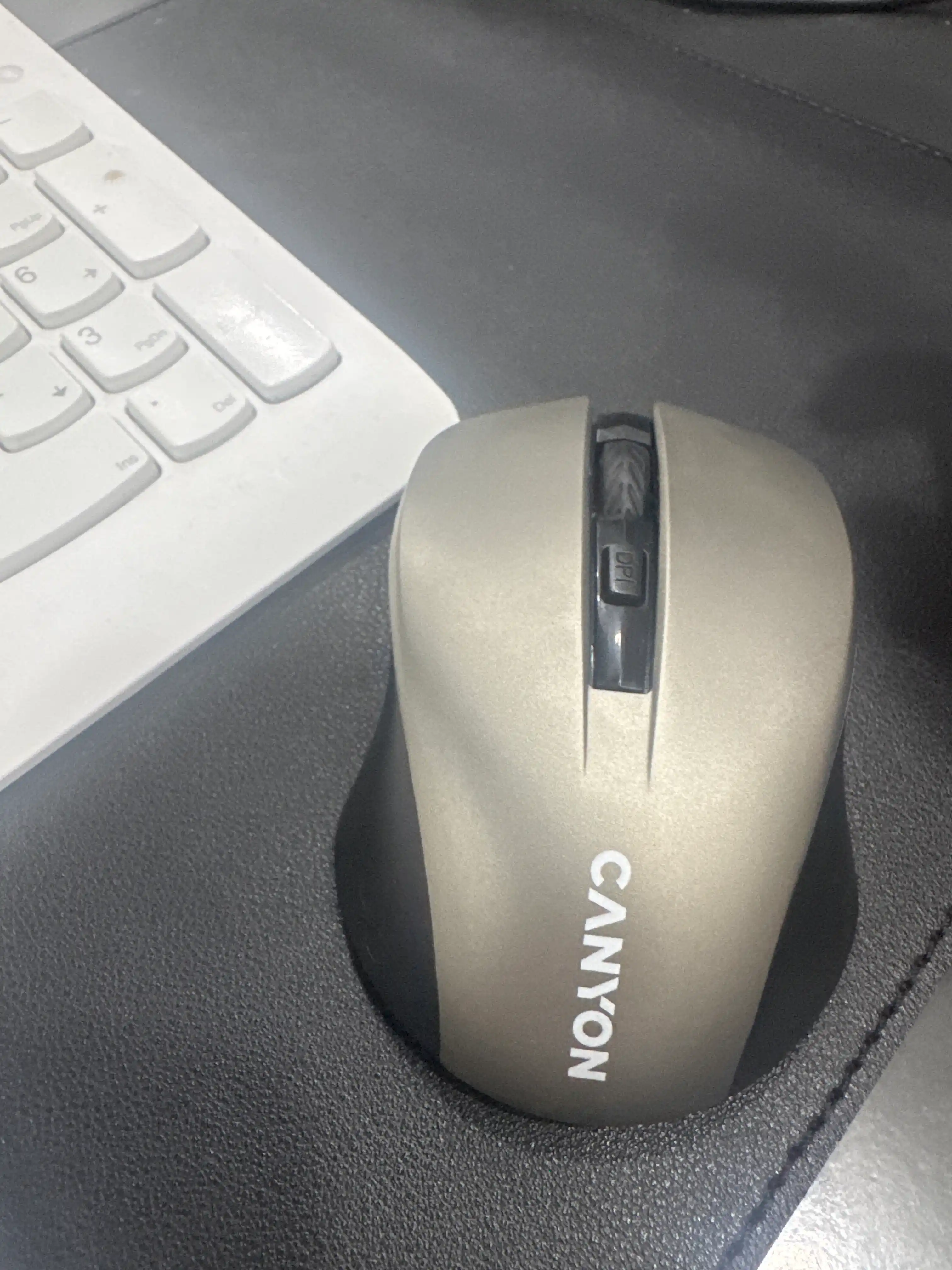 CANYON MW-1 simsiz sichqonchasi