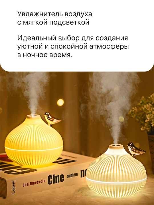 Tungi chiroq va namlagich — har kuni qulaylik g'amohi