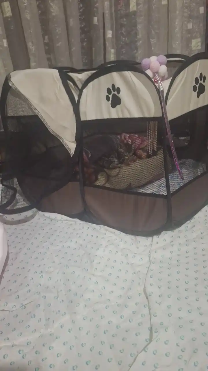 Mushuklar va itlar uchun buklanadigan volyer-manej tent, S-M-L
