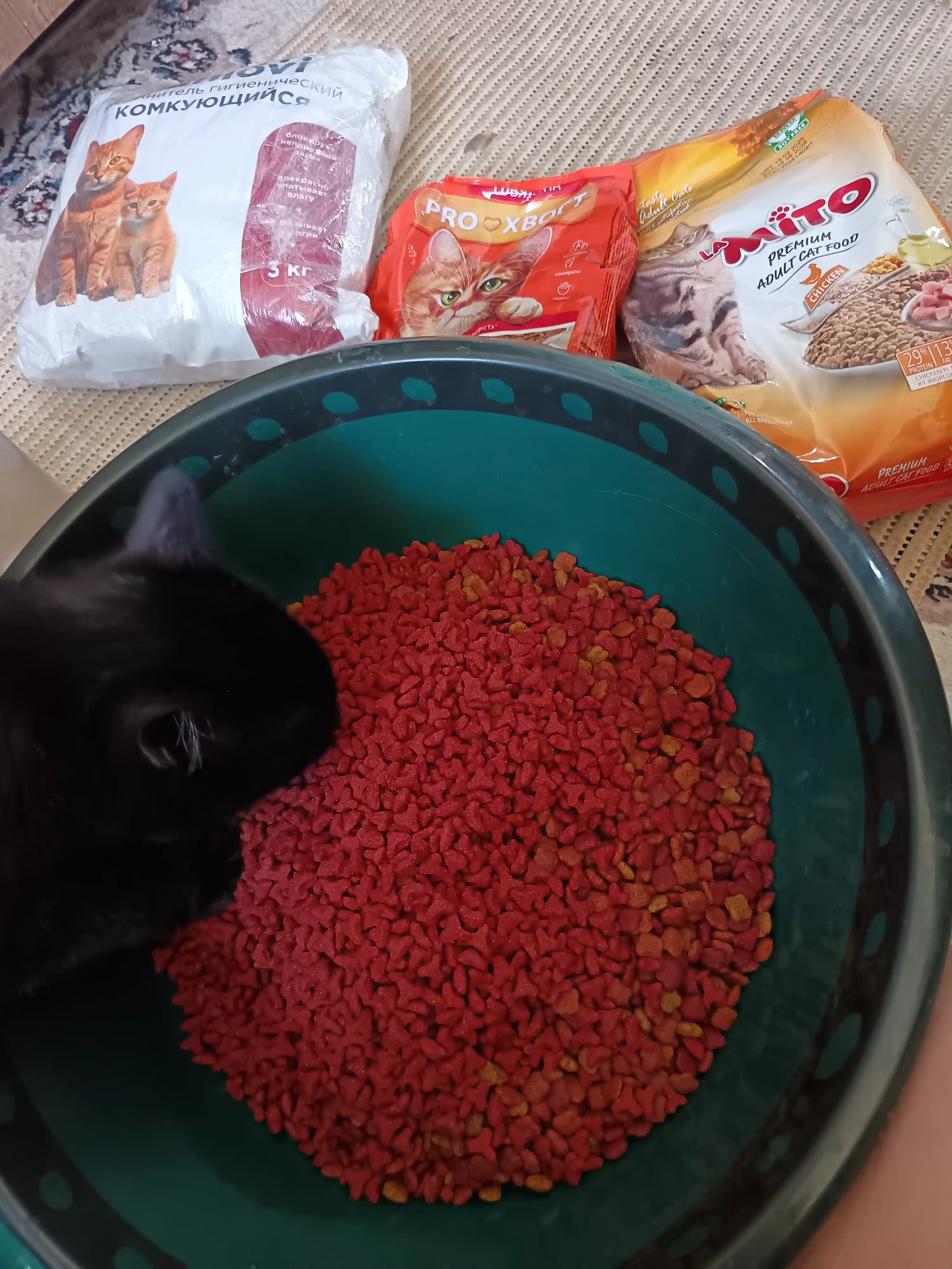 Mito mushuklar uchun quruq yem, tovuq go‘shti bilan, 1 kg