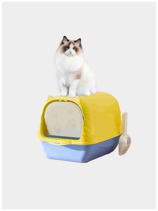 Haqiqiy lesbian porno Qishloqda rus jinsiy aloqa video