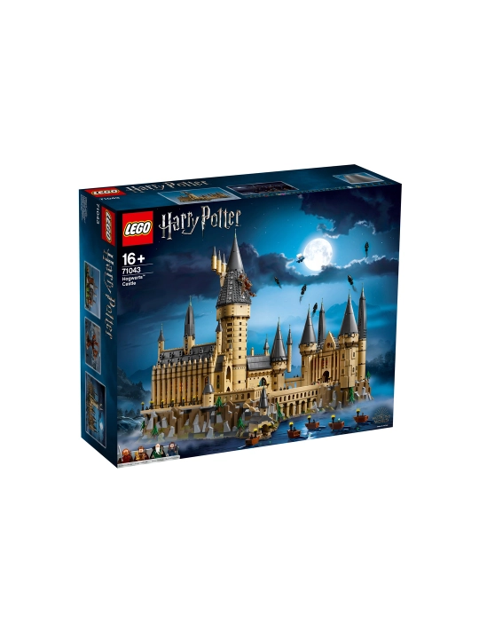 LEGO Harry Potter 71043 Xogvarts qasri konstruktori, 6020 dona - 