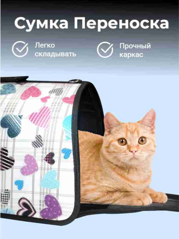 Xotinining choponini ko‘tardi Men yalangoch bolishni yaxshi koraman