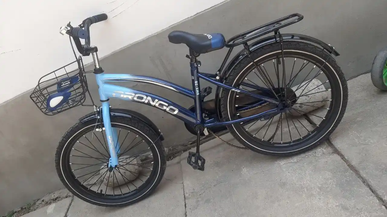 Детский велосипед DRONGO, размеры 12, 16, 20