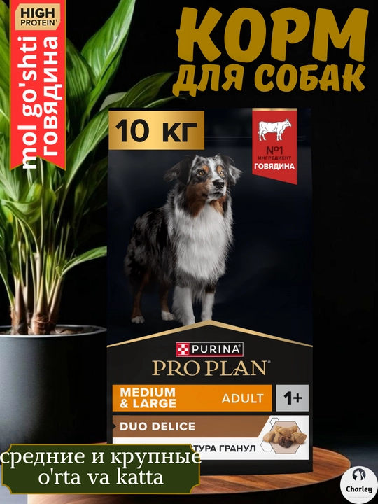 Ikki marta to'ldirilgan o'rta va katta zotli itlar uchun quruq ovqat Pro Plan, mol go'shti - 